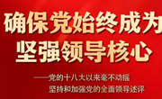 确保党始终成为坚强领导核心——党的十八大以来毫不动摇坚持和加强党的全面领导述评